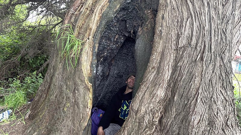 En cuevas y árboles huecos: la realidad de los rucos en sectores de Osorno En cuevas y árboles huecos: la realidad de los rucos en sectores de Osorno