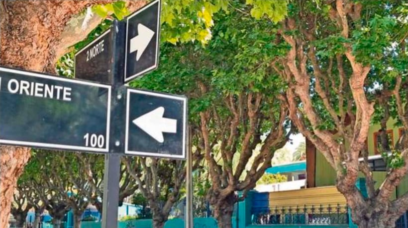 Funcionario de Seguridad Municipal de Viña del Mar fue golpeado por adolescente Funcionario de Seguridad Municipal de Viña del Mar fue golpeado por adolescente