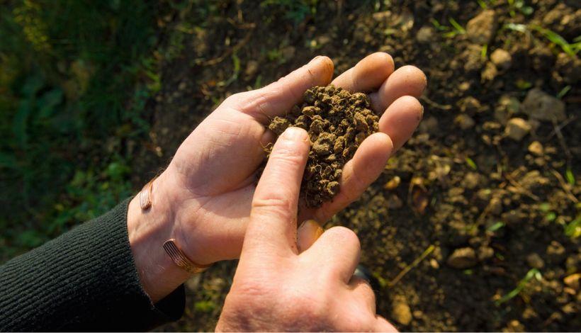 La agricultura será protagonista en la COP30 como herramienta frente al cambio climático La agricultura será protagonista en la COP30 como herramienta frente al cambio climático