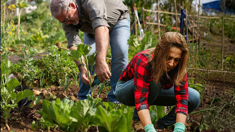 43 proyectos de organizaciones de la Región de Valparaíso se adjudicaron el fondo “Contigo en cada Gota” 43 proyectos de organizaciones de la Región de Valparaíso se adjudicaron el fondo “Contigo en cada Gota”