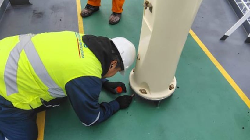 Autoridades portuarias intervienen tras hallar huevos de la plaga Lymantria dispar a bordo de buque en el puerto de San Antonio Autoridades portuarias intervienen tras hallar huevos de la plaga Lymantria dispar a bordo de buque en el puerto de San Antonio