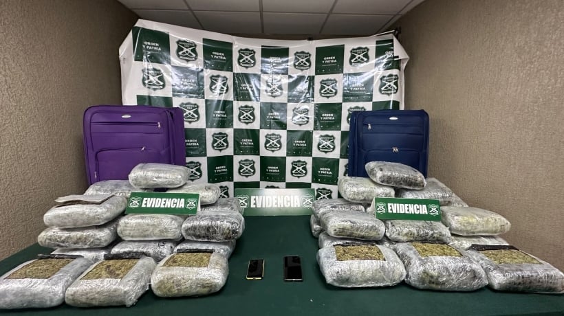 Incautan más de 42 kilos de marihuana en bus interprovincial en Nogales: dos detenidos Incautan más de 42 kilos de marihuana en bus interprovincial en Nogales: dos detenidos