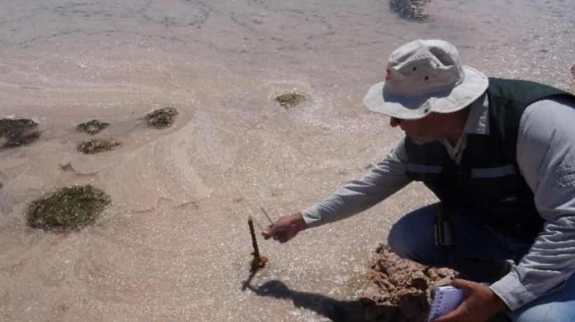 Admiten a trámite reclamación de Albemarle contra la SMA por multa de $3.900 millones en proyecto en el Salar de Atacama Admiten a trámite reclamación de Albemarle contra la SMA por multa de $3.900 millones en proyecto en el Salar de Atacama
