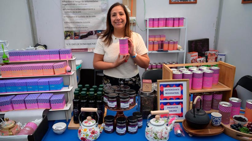 Origo: el té de uva creado por emprendedora de Zapallar sorprende con su sabor y beneficios Origo: el té de uva creado por emprendedora de Zapallar sorprende con su sabor y beneficios