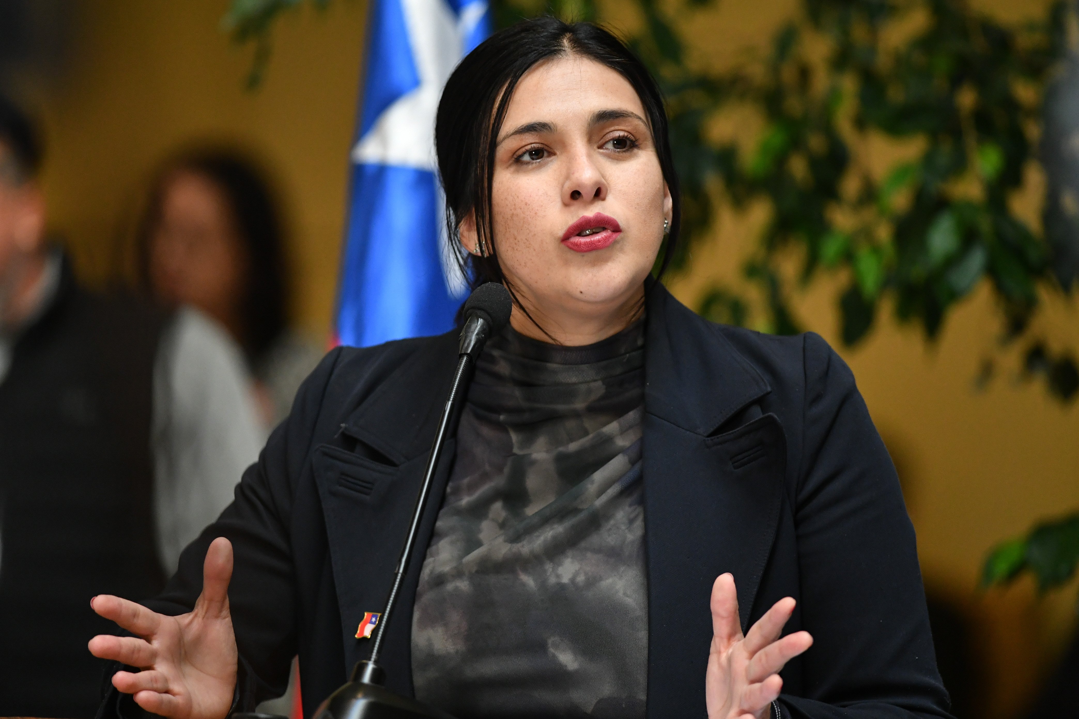 Por AC contra Pardow: Cariola dice que &quot;si entrega nuevos elementos, tendremos que estudiarla en su mérito&quot;