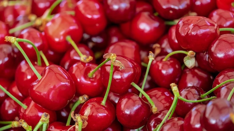 Las cerezas ayudan a controlar enfermedades vinculadas a la obesidad