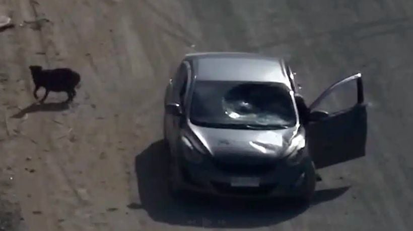 Patrullaje 24/7 apoya búsqueda de perrita preñada abandonada en el exvertedero La Chimba