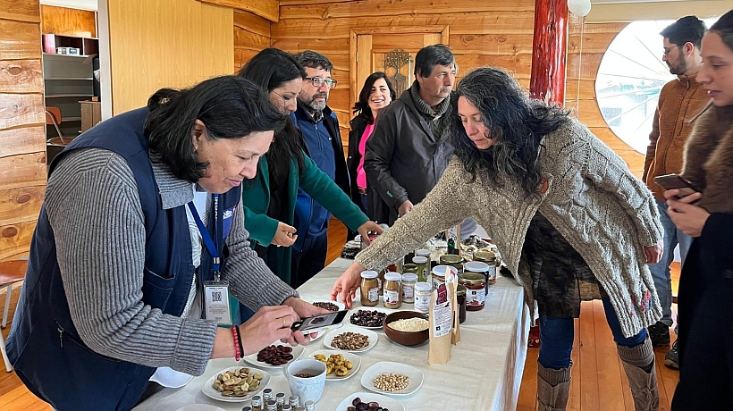 Programa de la quínoa en Chiloé cerró tras alargue de cinco años por la pandemia