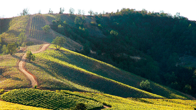 Buscando impulsar la llegada de argentinos: delegación de la Región de Valparaíso visitará Mendoza