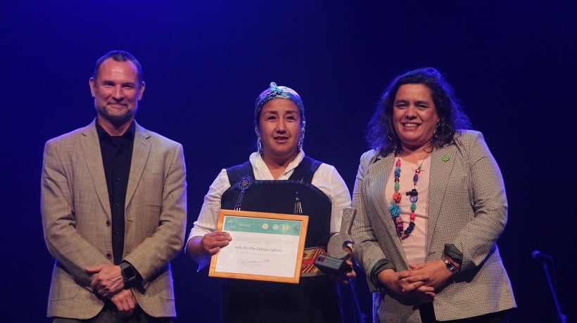 Artistas de La Araucanía son reconocidos por la Seremi de las Culturas en Premios Regionales 2025