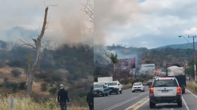 [VIDEO] Incendio forestal en Limache afectó cerca de dos hectáreas: una persona resultó detenida
