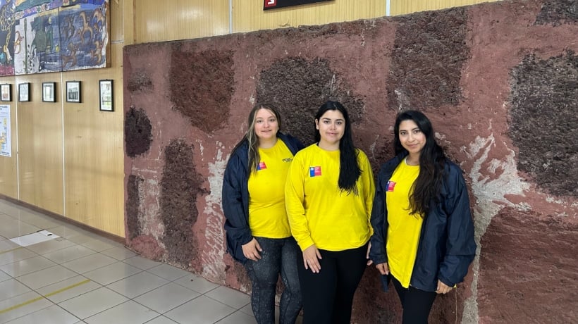 Rapa Nui entra en la recta final de su primera Encuesta Origen Destino