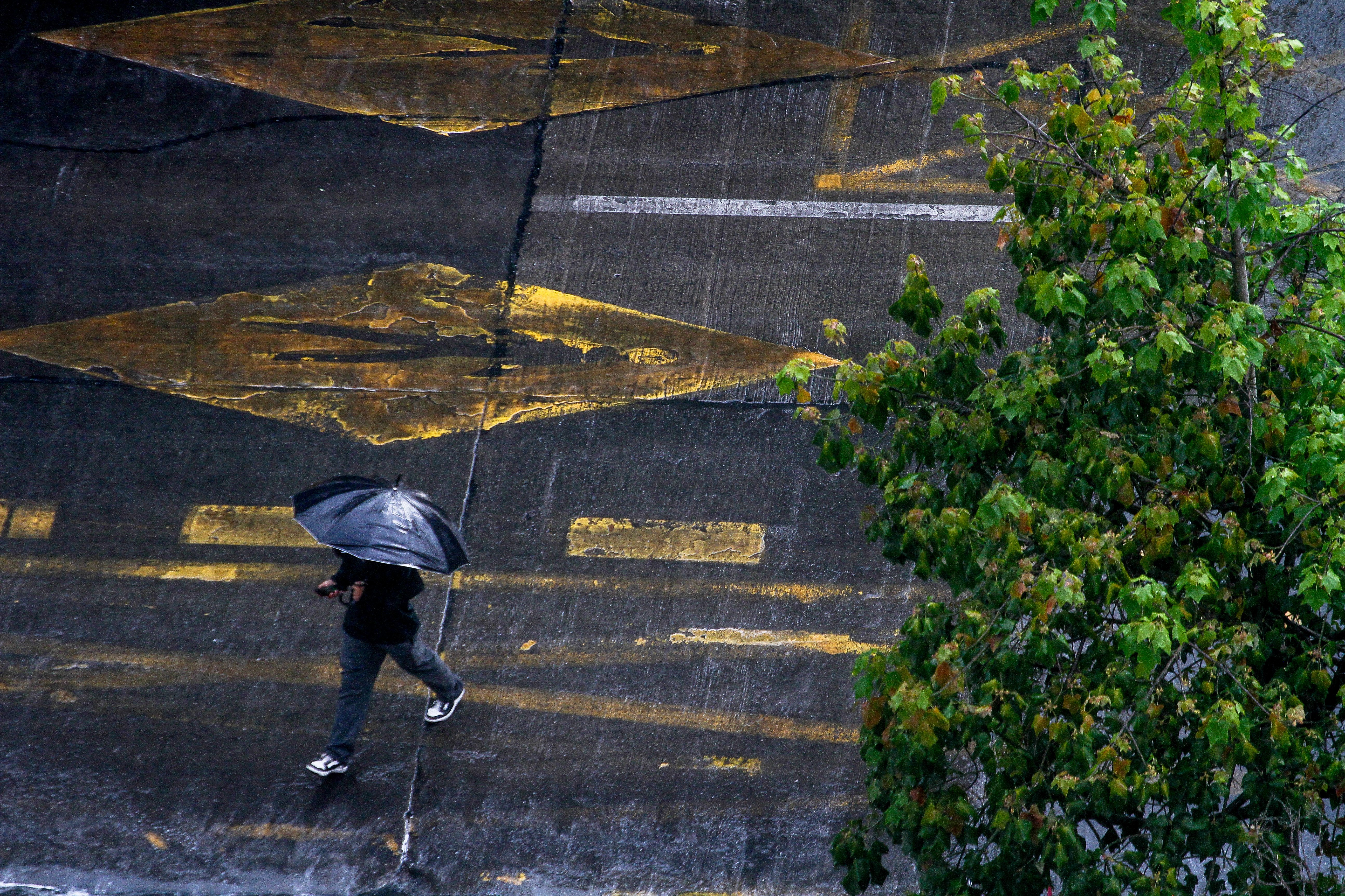 Producto de lluvias: Cerca de nueve clientes sin luz y semáforos apagados en la RM
