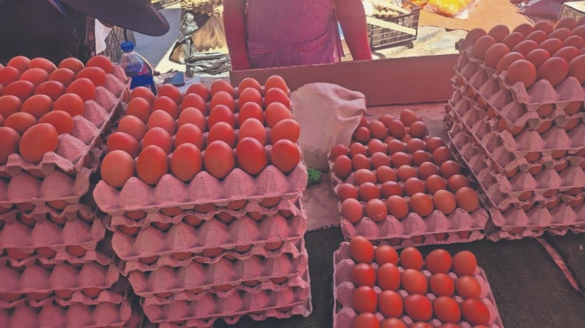 Decomisan cerca de mil huevos de dudosa procedencia en Antofagasta