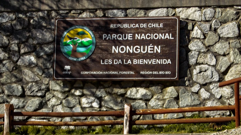 Parque Nacional Nonguén abrirá gratis por el Día Nacional de las Áreas Protegidas