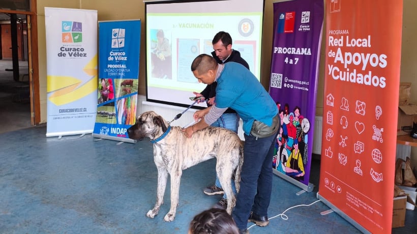 Curaco de Vélez realizó jornada educativa sobre tenencia responsable de mascotas para niños del Programa 4 a 7