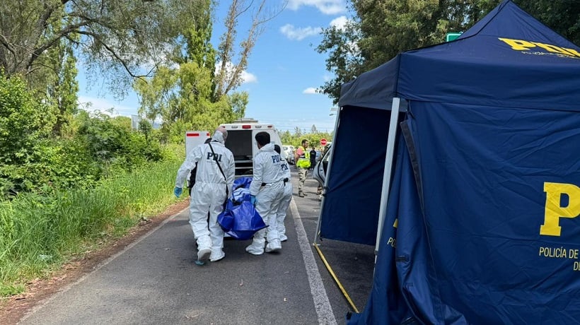 Brigada de Homicidios de la PDI de Temuco indaga muerte de mujer en ruta Freire-Villarrica
