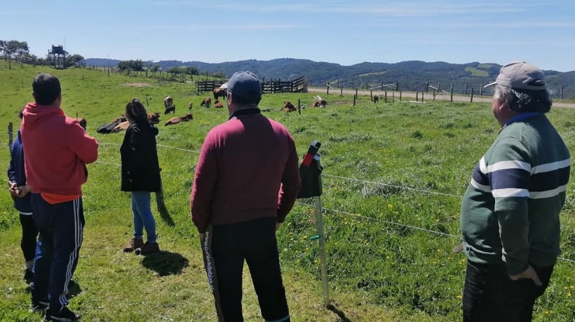 Realizan actividad de Manejo Holístico en Guabún con agricultores del Programa Prodesal de Ancud