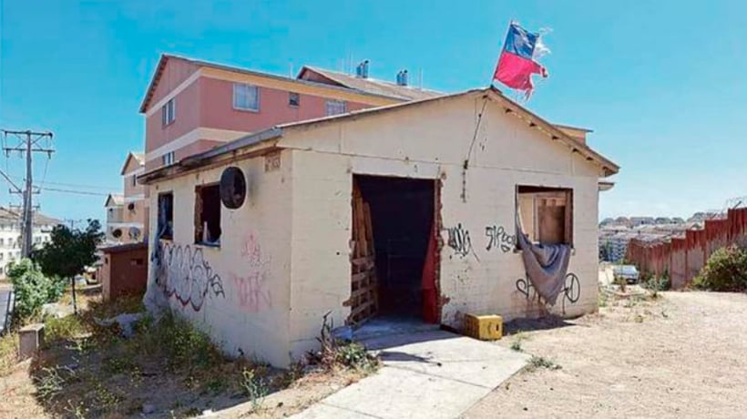 Alarma en Rodelillo por caso de maltrato animal