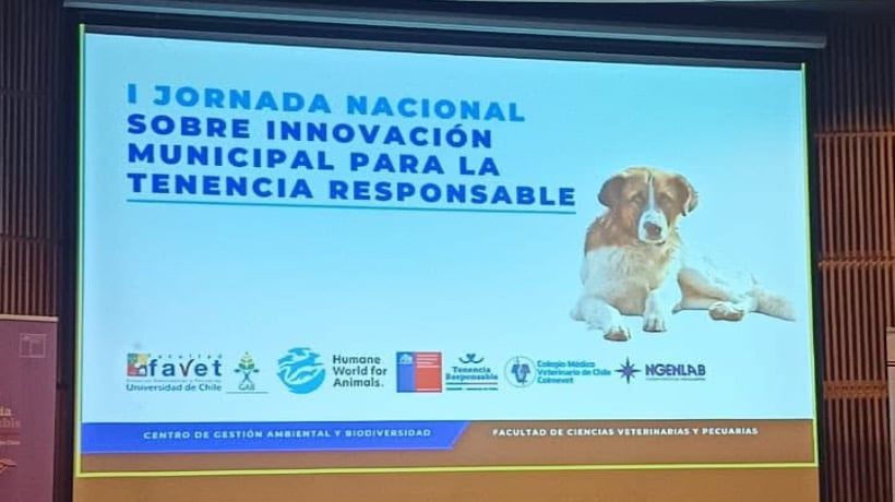 Proyecto ancuditano es destacado a nivel nacional por su innovación en tenencia responsable de mascotas