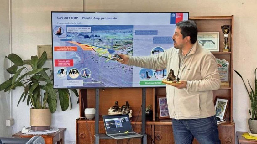 Cobquecura: Nuevo borde costero del sector Lobería de contempla la recuperación de dunas