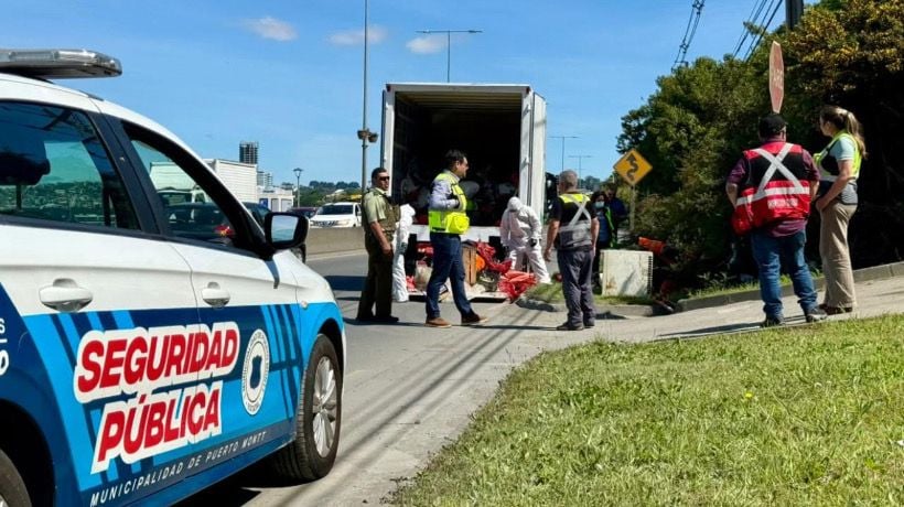 Operativo logró retirar ruco en la ex vía férrea de Pelluco