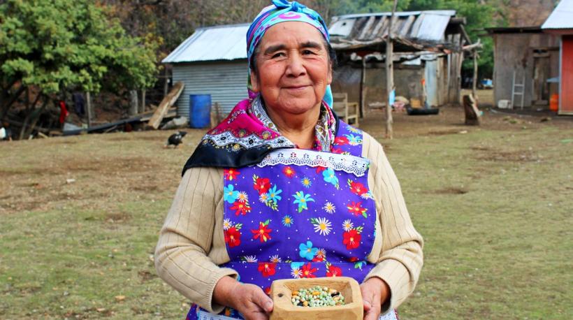 Alto Biobío es reconocida como nuevo sitio del Patrimonio Agrícola Mundial por parte de la FAO
