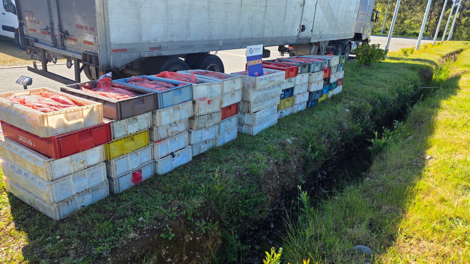 Incautan cerca de tres toneladas de recursos del mar de origen ilegal