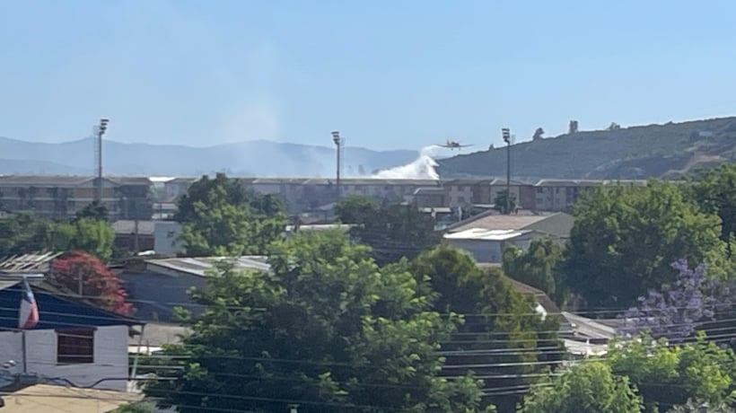 Quillota: Incendio forestal controlado consumió 0,7 hectáreas
