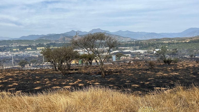 [FOTOS] Alerta Roja por incendio en Limache: al menos 25 hectáreas consumidas y estructuras afectadas