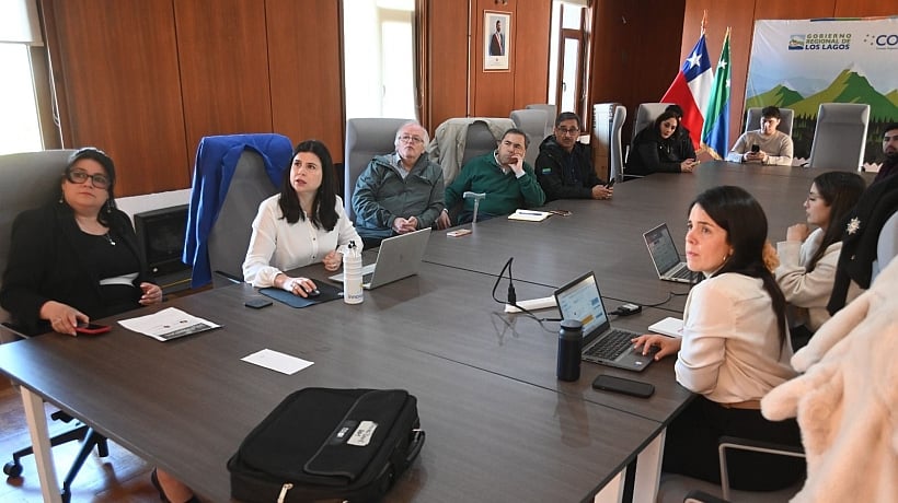 Funcionarios públicos y mipymes de Los Lagos se capacitan en Inteligencia Artificial