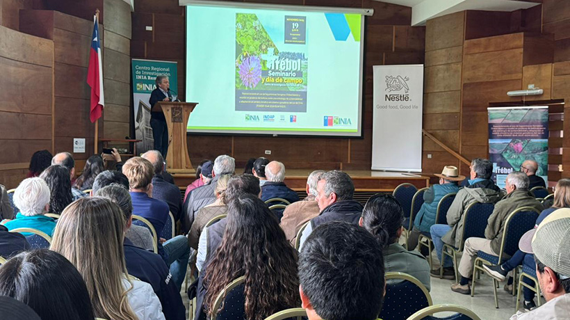 Revelan avances en el uso de praderas mixtas de ballicas con trébol