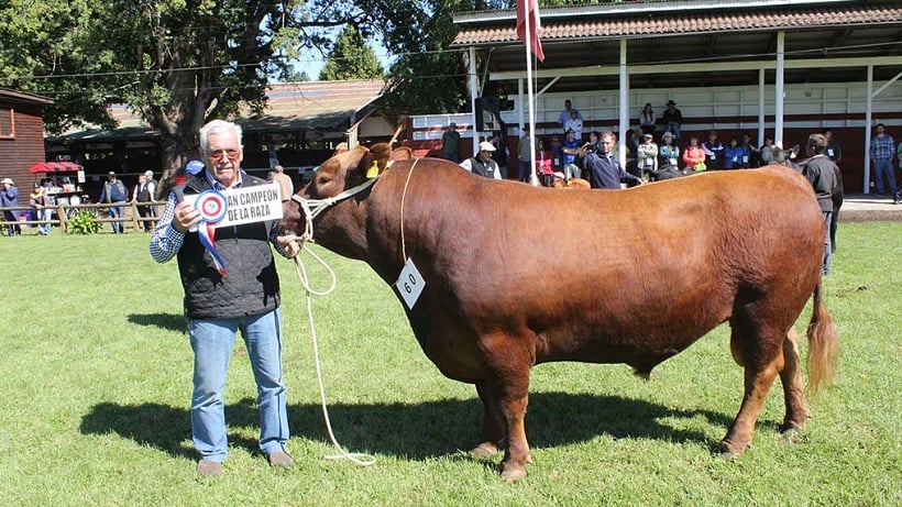 Hoy parte la versión 93 de la Exposofo en el parque Charles Caminondo