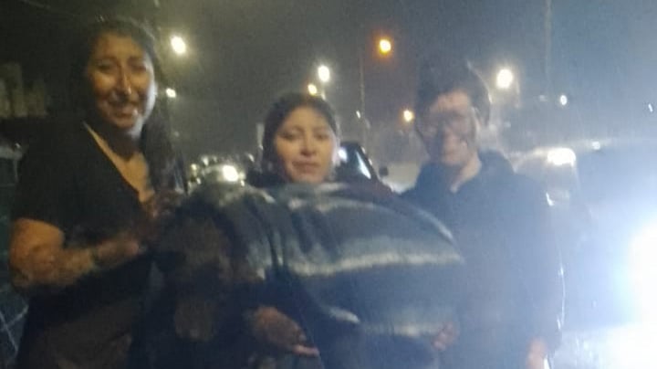 [VIDEO] Rescatan a un perro y un gato atrapados en un colector de aguas lluvia en Puyehue