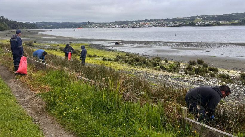 Curaco de Vélez: Limpieza de playa en San Javier permitió retirar ocho metros cúbicos de residuos
