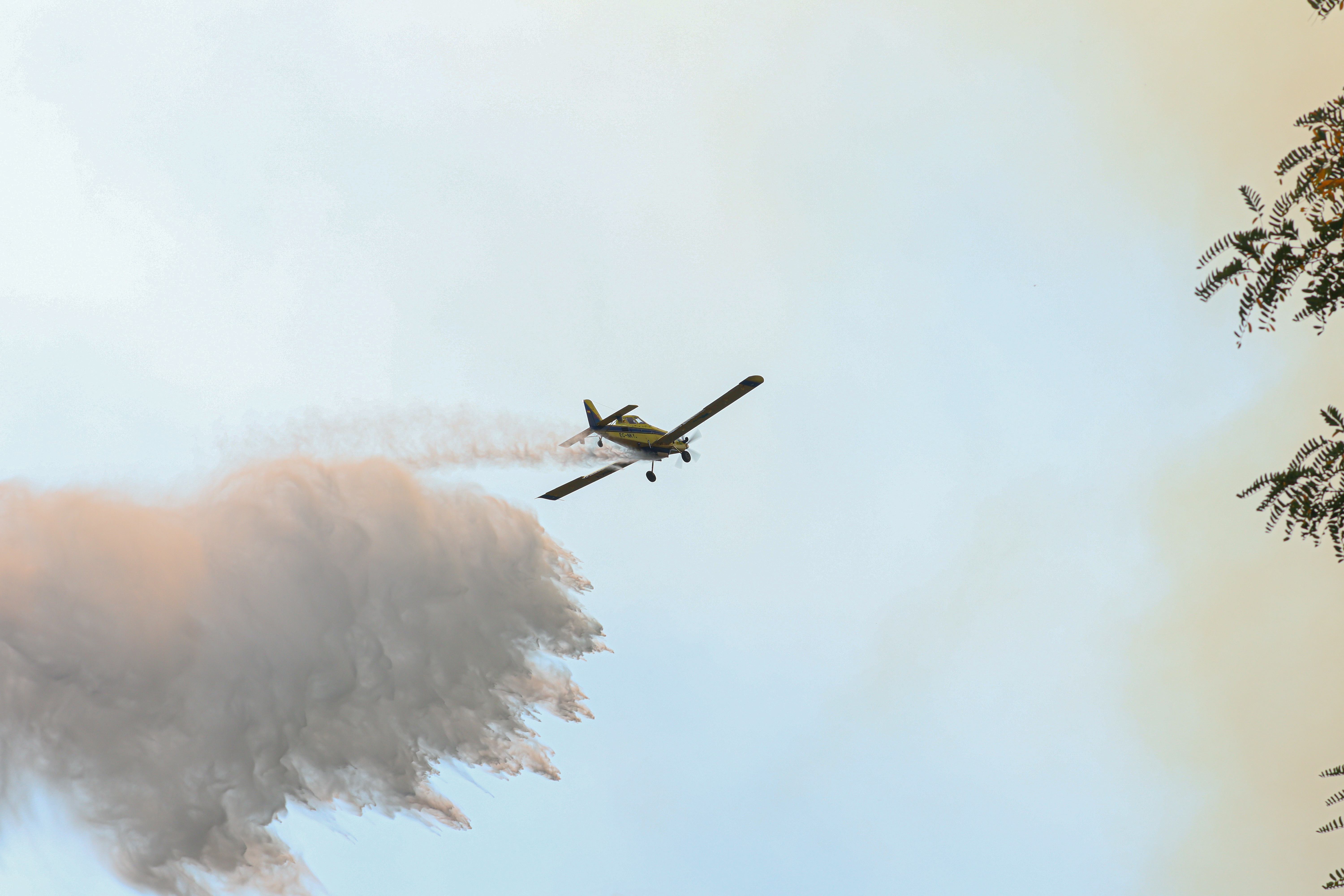 Dirección Regional de Senapred declara Alerta Roja en Tiltil por incendio forestal