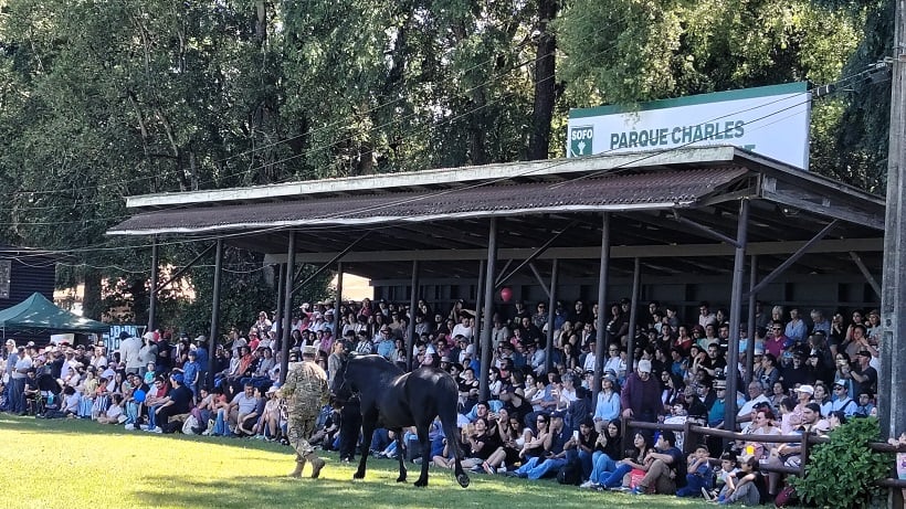 Con el humor del Huaso Filomeno y show ecuestre finaliza hoy la Exposofo