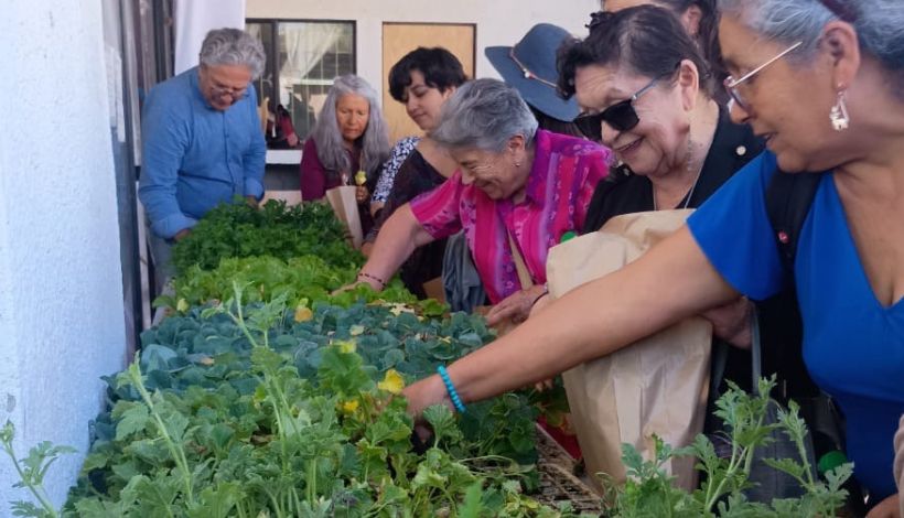 Red de huertos agroecológicos impulsa la soberanía alimentaria en siete comunas de la Región de Valparaíso
