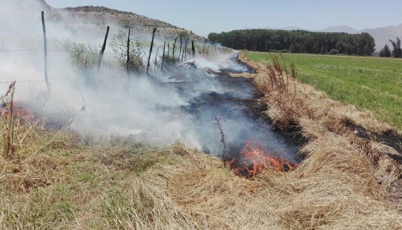 Seremi de Agricultura llama a un “cambio cultural” tras la entrada en vigencia del nuevo plan que prohíbe quemas agrícolas