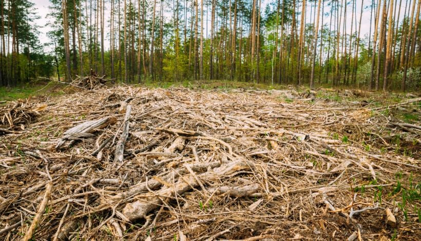 Investigadores chilenos desarrollan sistema para registrar impactos climáticos observados