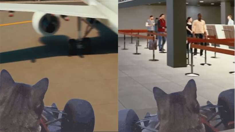 [VIDEO] Con un gato: así presentan cómo será el futuro aeropuerto de la Región de Valparaíso