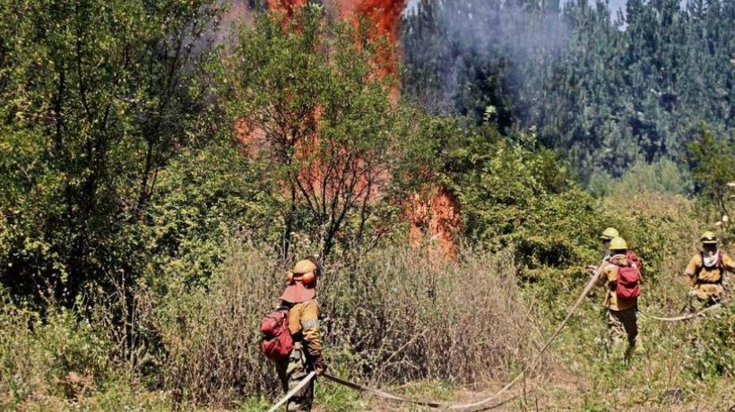 Afectación de hectáreas por incendios forestales en Ñuble baja 87% en esta temporada