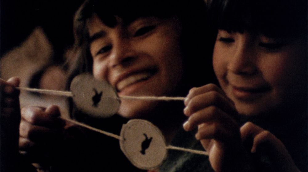 Invitan a celebrar el Día del Cine Chileno en la costa de Valdivia