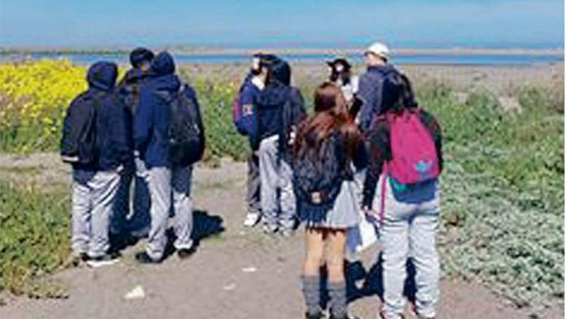 Proyecto ambiental permitió a alumnos redescubrir el humedal del río Maipo