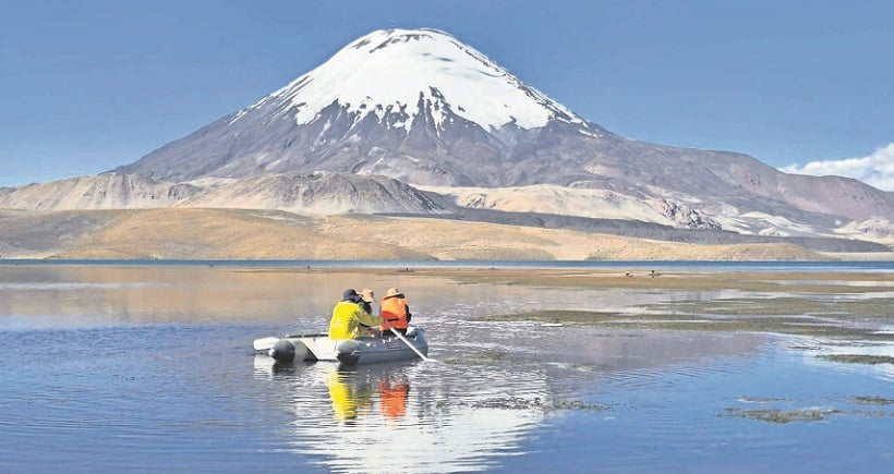 Voluntarios llegan hasta Lago Chungará para limpieza de aguas con aceite de soya