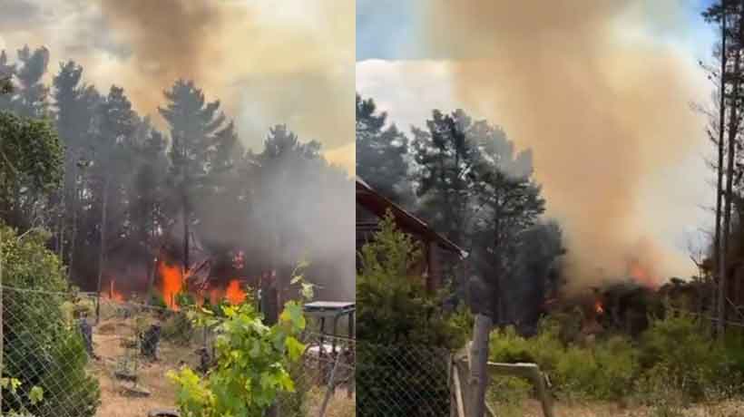 [VIDEO] Incendio forestal en Laguna Verde: 0,8 hectáreas afectadas y piden evacuar El Leoncillo
