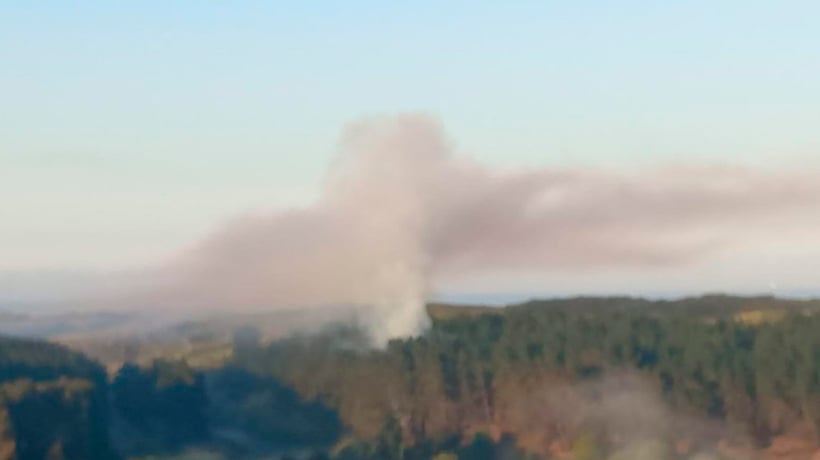 Bomberos y Conaf combaten incendio forestal en Quintero