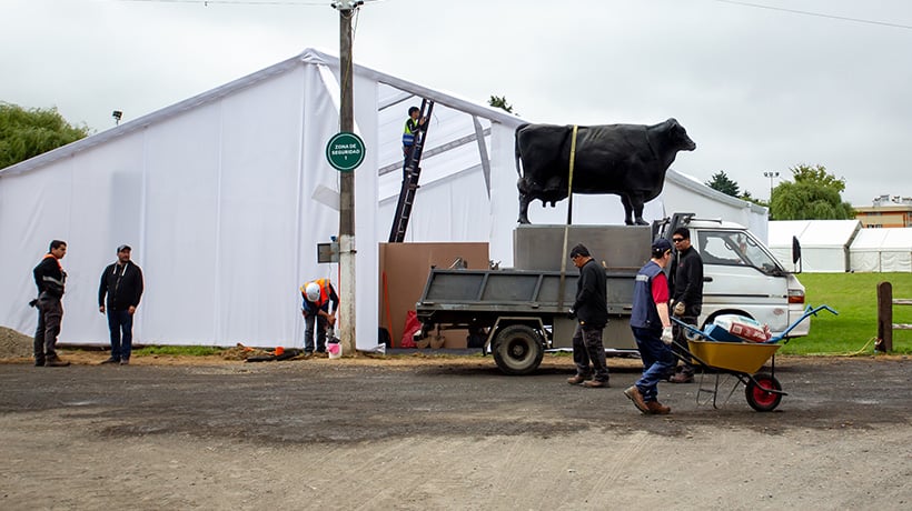 SagoFisur 2025 parte este jueves con foco en la innovación, la ganadería y la asociatividad