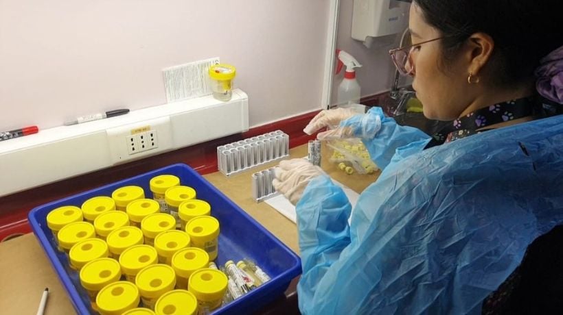 Fuerte demanda: red de atención primaria proyecta más de 300 mil exámenes este verano en Antofagasta