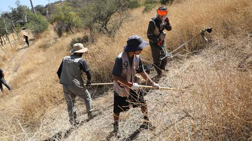 Hijuelas se prepara: Únete al Taller de Cortafuegos y aprende a prevenir incendios